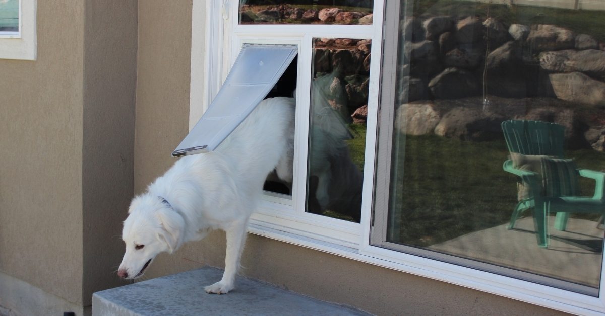 Pet Door Installation