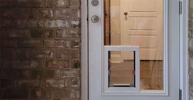 Dog Door Desktop