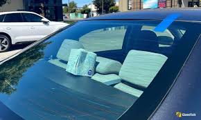 Rear Windshield Safety